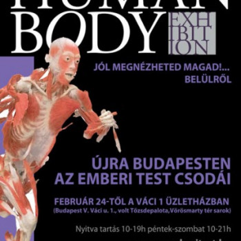 The Human Body -kiálítás exkluzívan a haveroknak :) #6