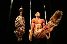 The Human Body -kiálítás exkluzívan a haveroknak :) #0