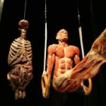 The Human Body -kiálítás exkluzívan a haveroknak :)