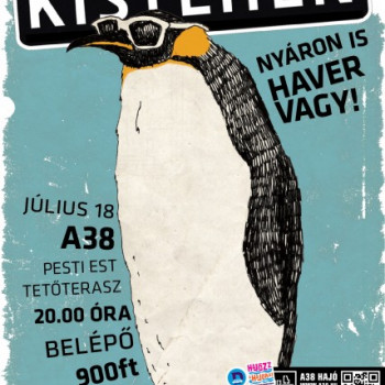 Kistehén zenekar 2. exkluzív koncertje a Havervagy számár az A38-on #5