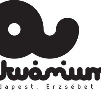 1 NAGY HAVERVAGY BULI A NAGY AKVÁRIUMBAN #10