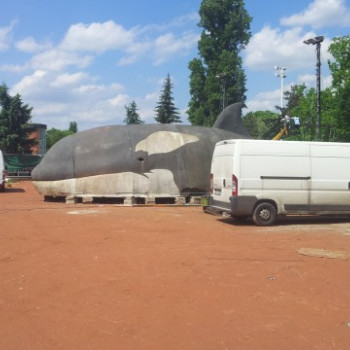 Nyitás előtti havervagy nyitás A FRÖCCSTERASZ BEACHEN - új óriás szórakozóhely Budpesten #0