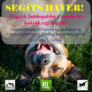 Segíts Haver: Látogatás és kutyasétáltatás a Futrinka egyesületnél #2