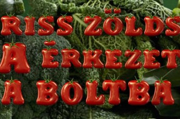 GRILL ÉS BOGRÁCS PARTY A MARGIT UTCA KISKERTJÉBEN – egy kis vidék Budán, Június 10. Kedd. II. Margit utca 9. #3