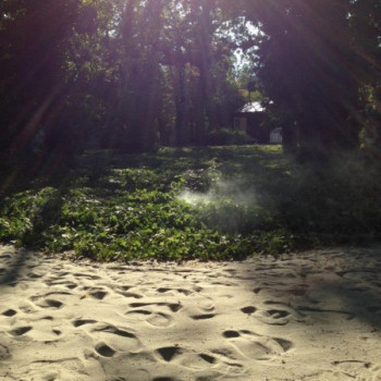 SZÜLINAPI HAVERVAGY PIKNIK a Dürer Piknik Parkban #0