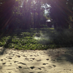 SZÜLINAPI HAVERVAGY PIKNIK a Dürer Piknik Parkban