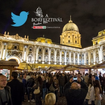 Borkóstoló a borfesztiválon a Zwack Izabella borkereskedés standjánál #3