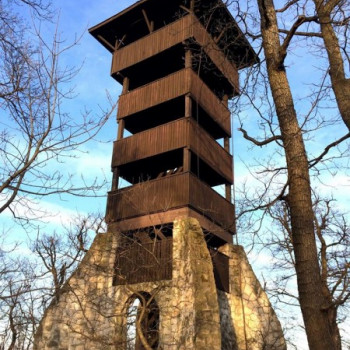 Mikulás túra: Kirándulás a Budai hegyekbe #1
