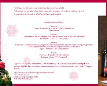 Befor Christmas Party - Borvacsora a ViAldanteban #0