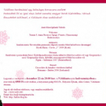 Befor Christmas Party - Borvacsora a ViAldanteban
