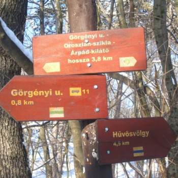 A leghűségesEbb haverEb #19