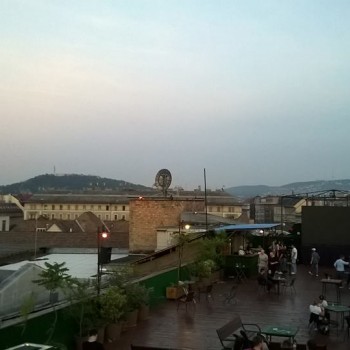 113.jpg