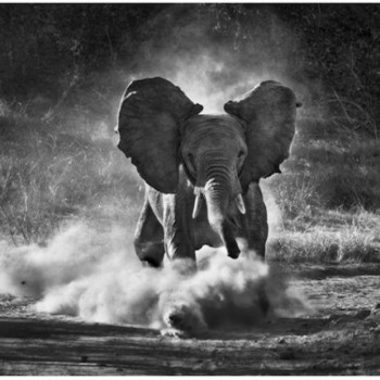Genesis_Salgado_3-614x450.jpg