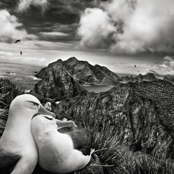 Sebastiao-Salgado-GENESIS-03.jpg