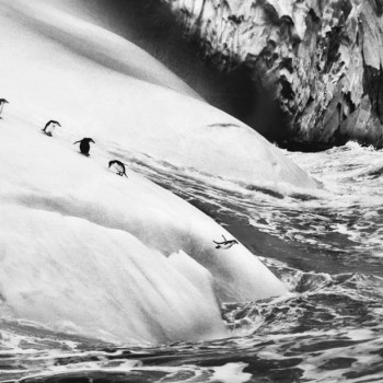 seabastiao-salgado-32.jpg