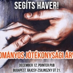 Jótékonysági Havervagy árverés 2017