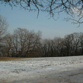 kutyaséta 09.jpg
