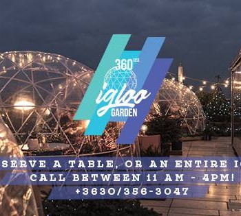 igloo 01.jpg