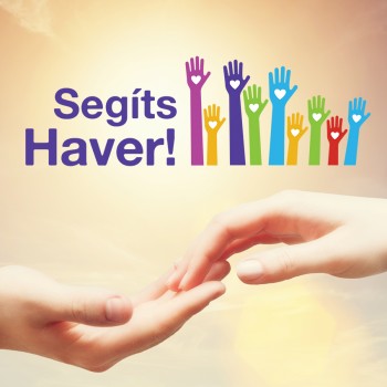 segits nz.jpg