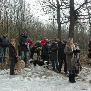 kutyaséta 17.jpg