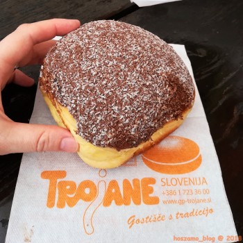 trojanne.jpg