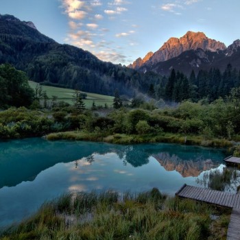 zelenci4.jpg