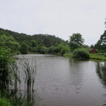 07.jpg