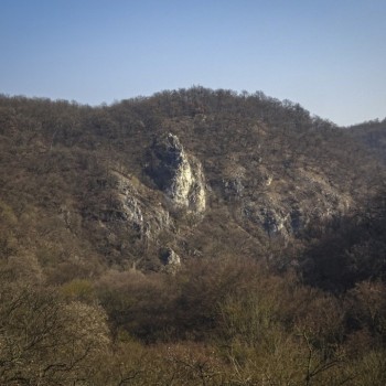 06.jpg
