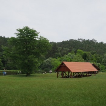 04.jpg