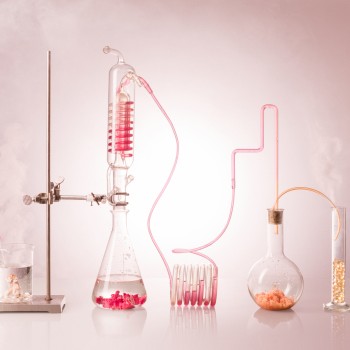 Marie Lukasiewicz 181214_PDV_MAKING_CORAL_CALCIUM-109.jpg