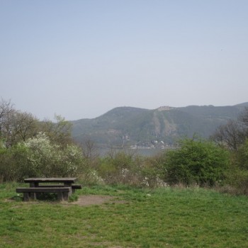 04.jpg