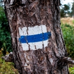 Haverok a kéken!