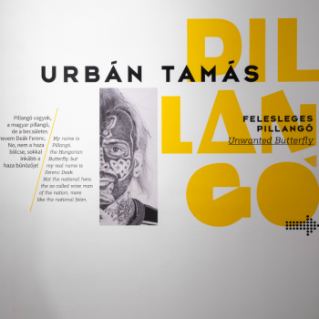 urban_tamas_felesleges_pillango.png