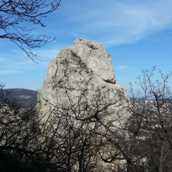 03.jpg