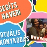 Segíts Haver 2020 - idén máshogy