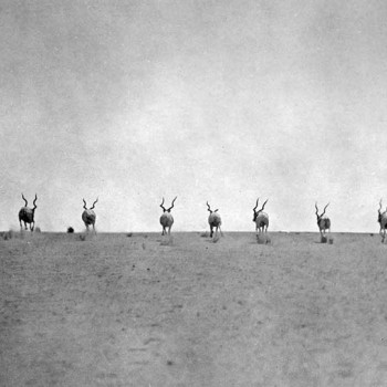 wszechenyi_album_1935_116-(Nagy).jpg