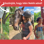 Játék és haverkodás a Papírsárkány gyermekotthon gyerekeivel